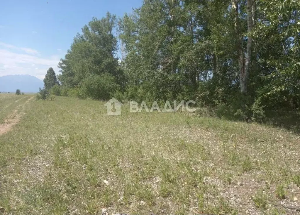 Участок в Бурятия, Тункинский район, с. Тунка Российская ул. (200.0 ... - Фото 2