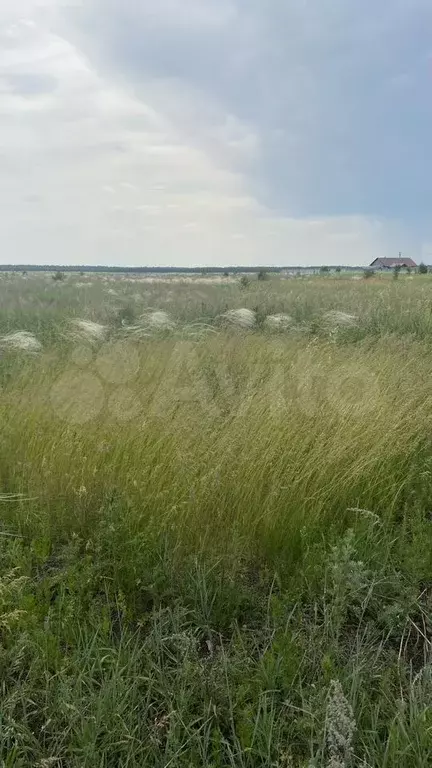 Участок 15 сот. (ИЖС) - Фото 1
