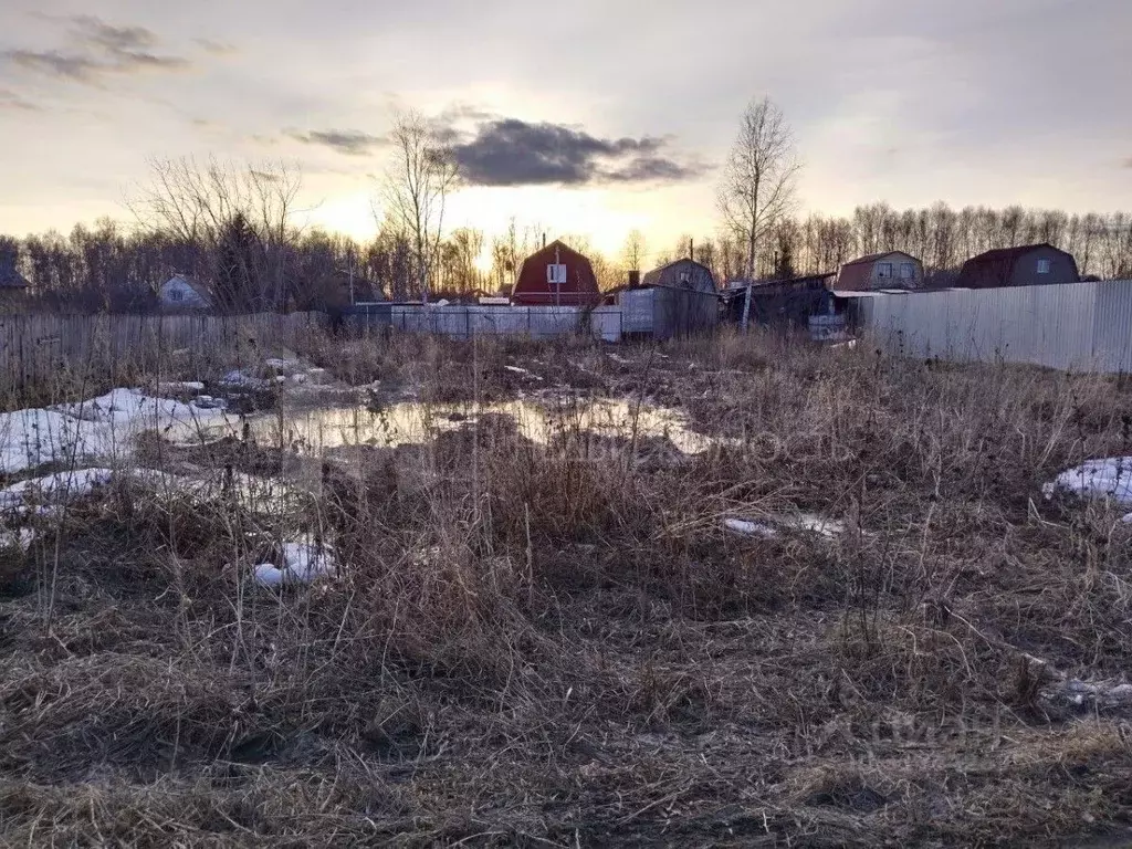 Участок в Тюменская область, Тюмень Лаванда садовое товарищество, ул. ... - Фото 0