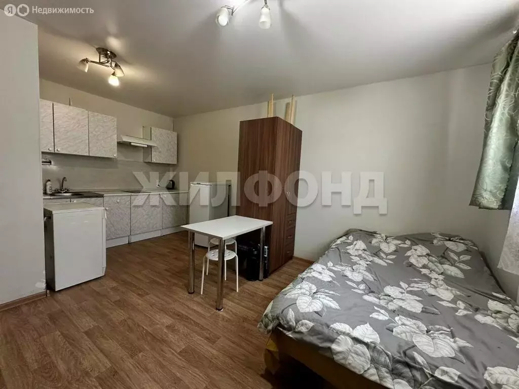 Квартира-студия: село Прокудское, Саратовская улица, 13 (22.5 м) - Фото 1