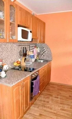 Студия Новосибирская область, Новосибирск Горский мкр, 75 (30.0 м) - Фото 1