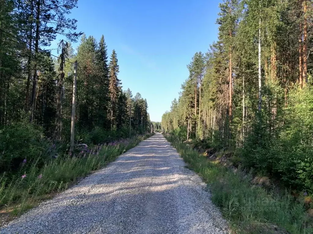 Участок в Коми, Корткеросский район, Корткерос муниципальное ... - Фото 1