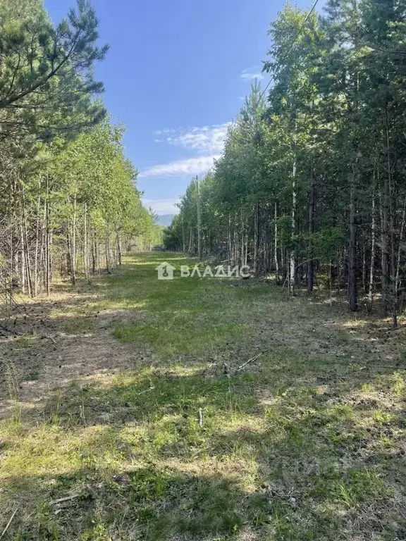 Участок в Бурятия, Кабанский район, с. Заречье Садовая ул., 21 (12.0 ... - Фото 1