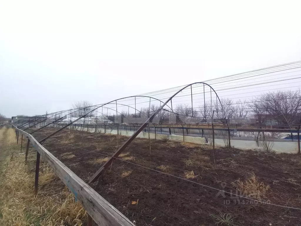Участок в Ростовская область, Октябрьский район, Бессергеневское ... - Фото 1