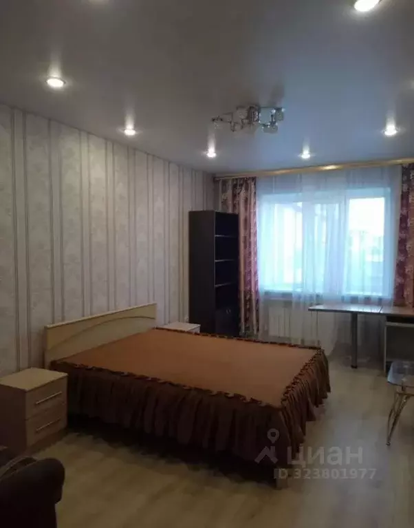 1-к кв. Еврейская автономная область, Биробиджан ул. Ленина, 37А (43.0 ... - Фото 1