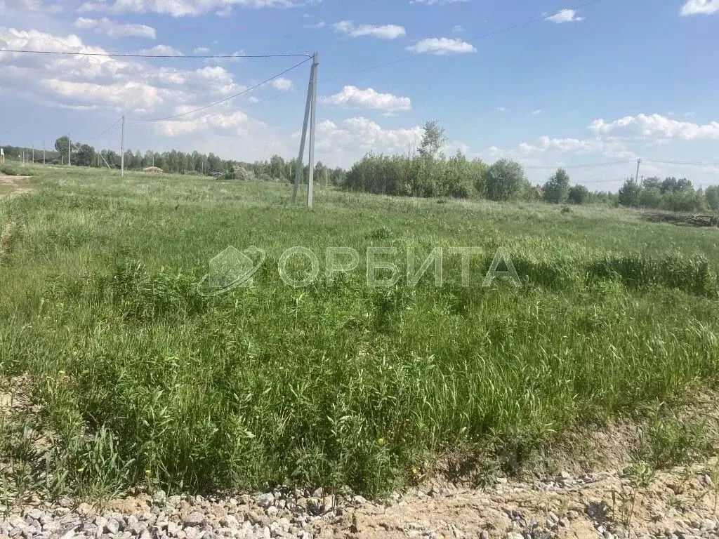 Участок в Тюменская область, Нижнетавдинский район, д. Штакульская  ... - Фото 1
