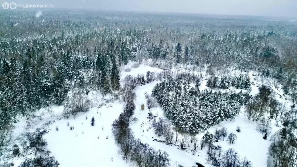 Участок в Тверская область, Торопецкий муниципальный округ, деревня ... - Фото 2