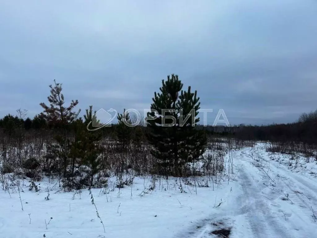 Участок в Тюменская область, Тюменский район, с. Горьковка Сибирская ... - Фото 1