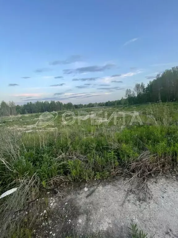 Участок в Тюменская область, Нижнетавдинский район, с. Тюнево  (10.0 ... - Фото 0