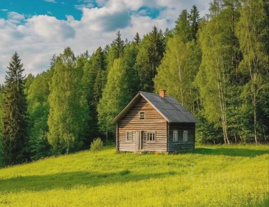 Участок в Карелия, Сортавальский муниципальный округ, пос. Рускеала ... - Фото 1