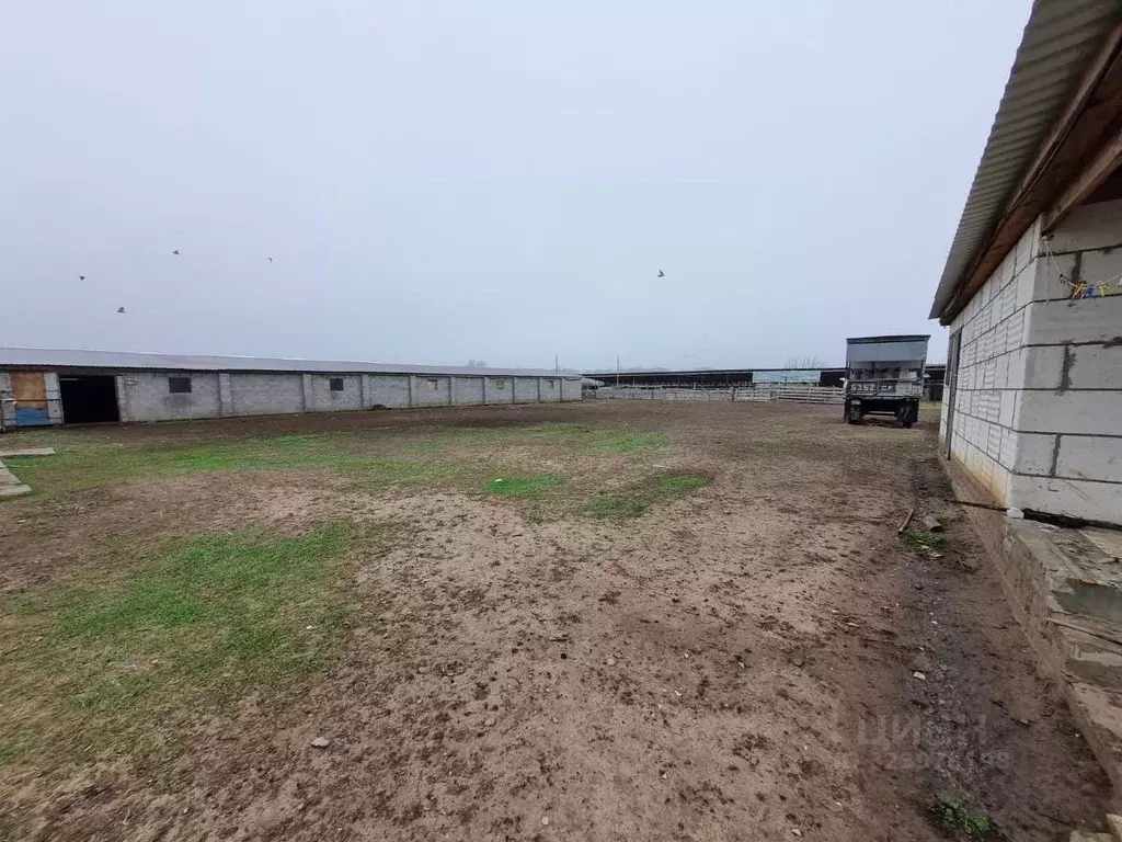 Участок в Волгоградская область, Старополтавский район, ... - Фото 2