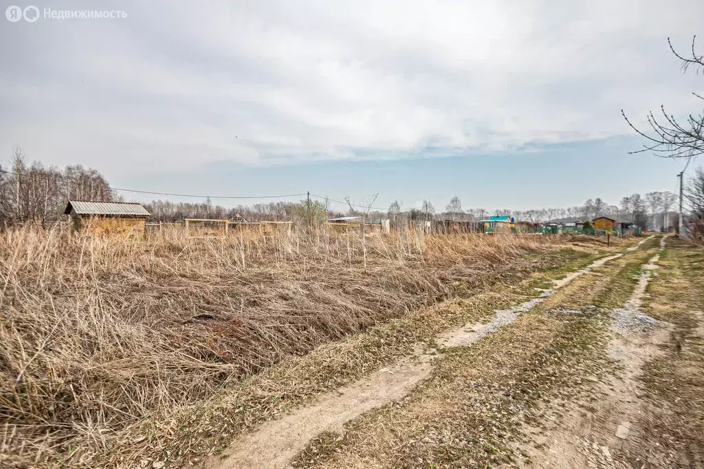 Участок в Искитимский район, Мичуринский сельсовет, СПК Восток-2 (6.35 ... - Фото 1