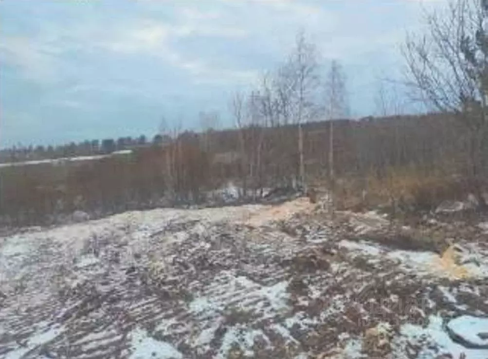 Производственное помещение в Иркутская область, Братск Падун жилрайон, ... - Фото 2