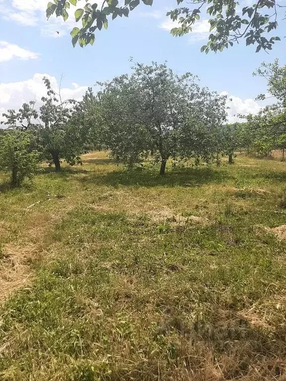 Участок в Краснодарский край, Анапа муниципальный округ, Рассвет хут. ... - Фото 1