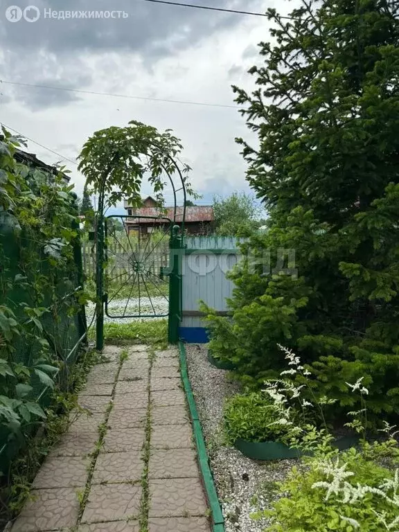 Дом в Тогучинский район, СНТ Лесное - 1 (28 м) - Фото 0