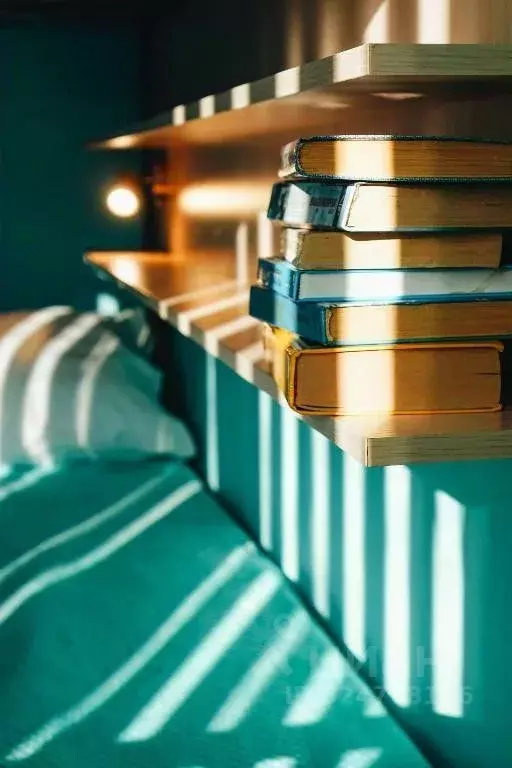 Комната Новосибирская область, Новосибирск Горский мкр, 2 (16.0 м) - Фото 2