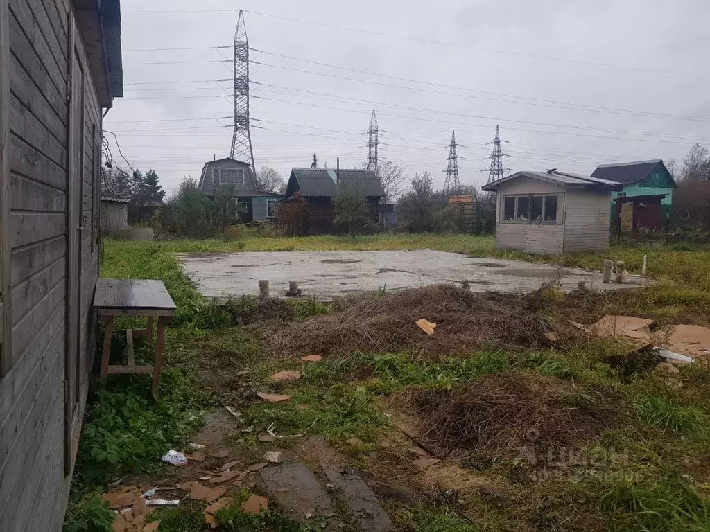 Участок в Московская область, Солнечногорск городской округ, Клен ... - Фото 1