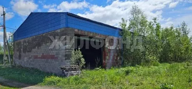 Участок в Новосибирская область, Колыванский район, Север ТСН  (10.0 ... - Фото 2