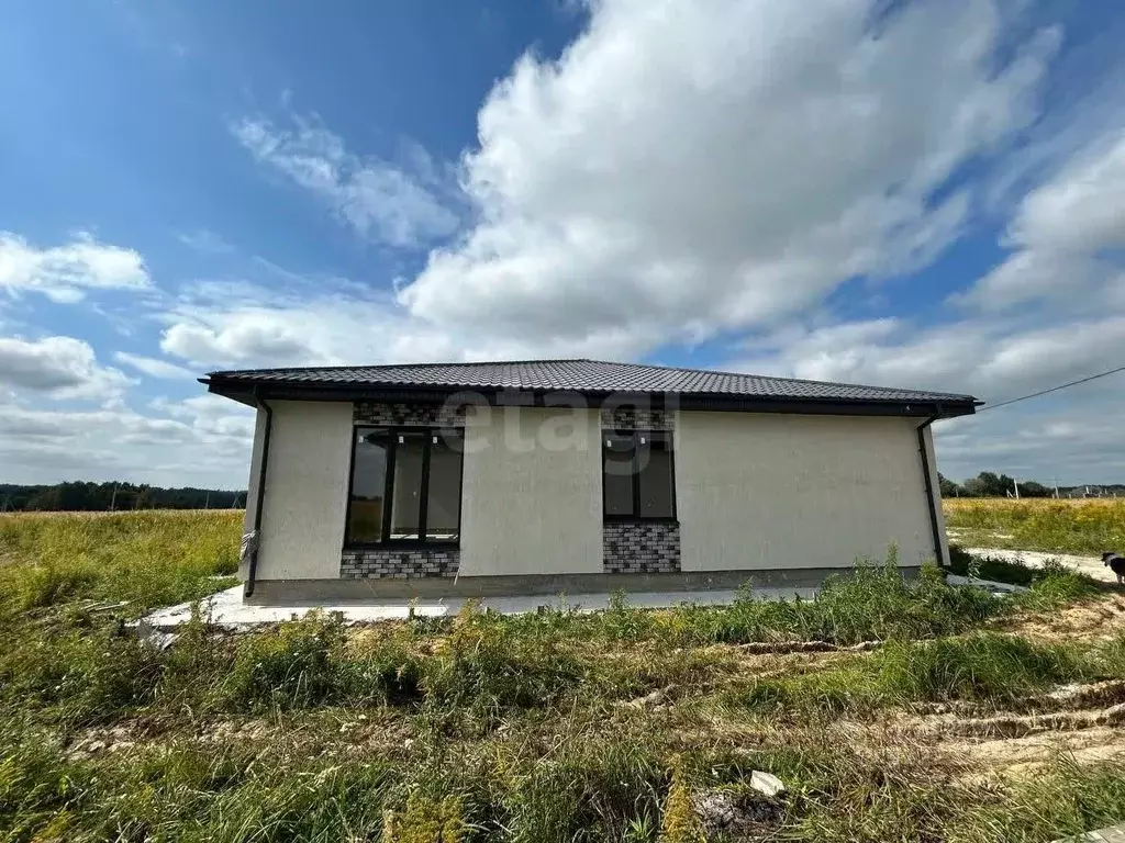 Дом в Тульская область, Тула городской округ, д. Дементеево, Поле-1 ... - Фото 1