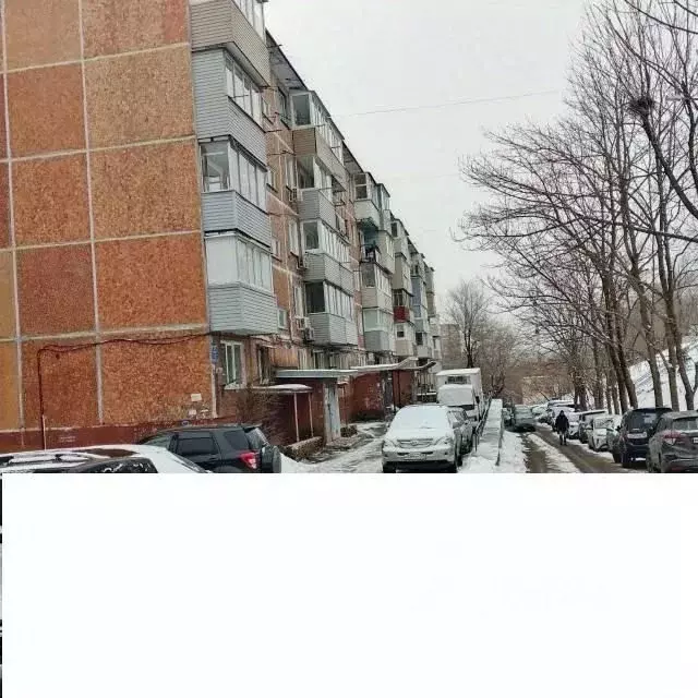 2-к кв. Приморский край, Владивосток просп. 100-летия Владивостока, ... - Фото 2