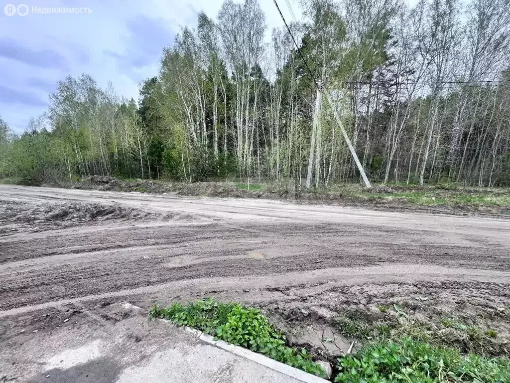 Участок в Тюменский район, село Ембаево (10 м) - Фото 1