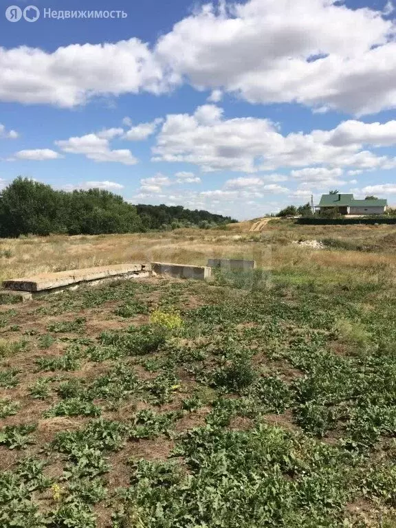 Участок в село Красный Яр, Первомайская улица (14 м) - Фото 2