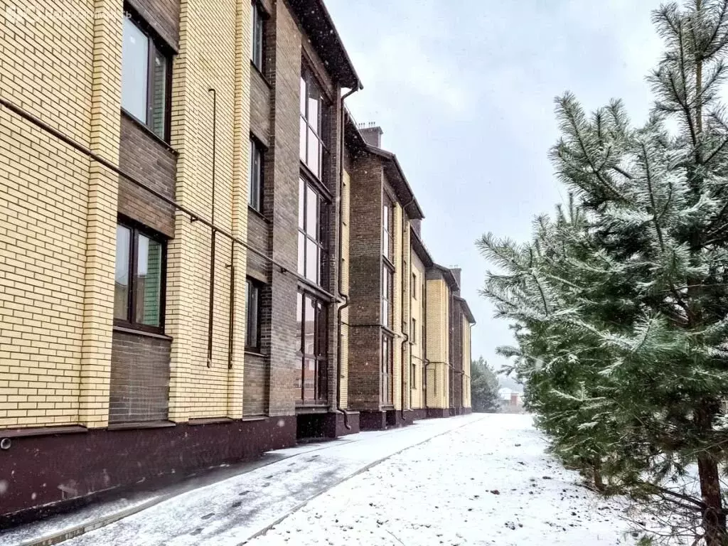 1-комнатная квартира: Ярославский муниципальный округ, деревня ... - Фото 2