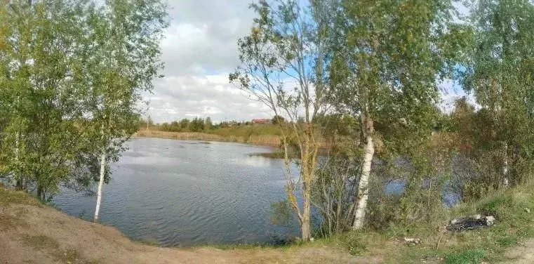 Участок в Ленинградская область, Гатчинский район, Бавария кп  (8.0 ... - Фото 0