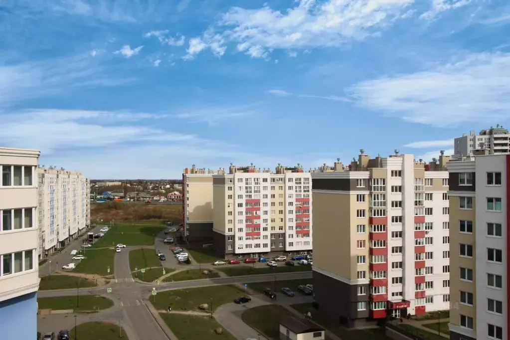 3-к кв. Калининградская область, Калининград ул. Кипарисовая, 1 (82.1 ... - Фото 0