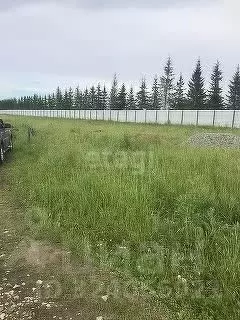 Участок в Новосибирская область, Искитимский район, Мичуринский ... - Фото 1