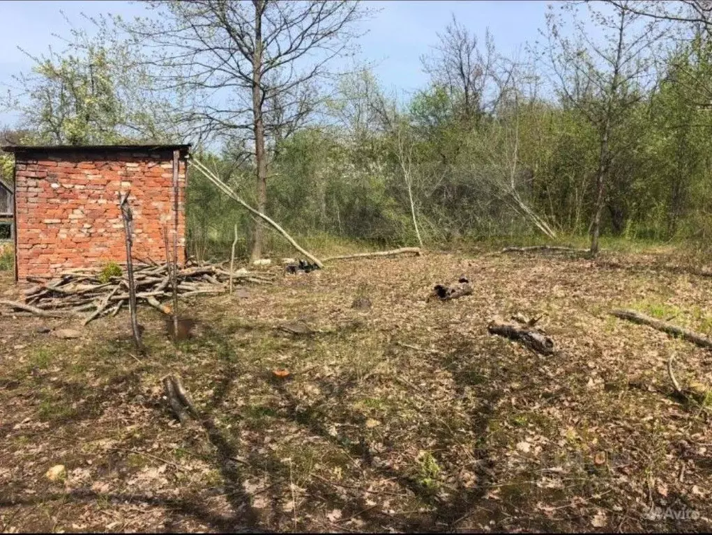 Участок в Адыгея, Майкоп Восход садовое дачное товарищество,  (3.6 ... - Фото 0