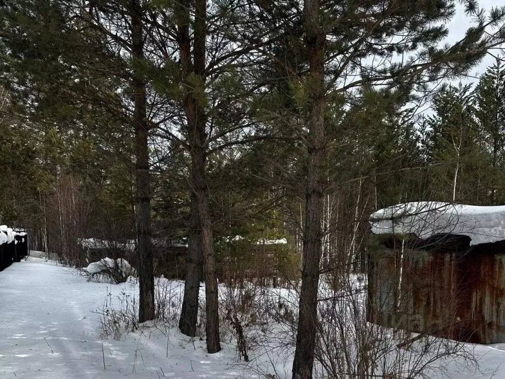 Участок в Иркутская область, Иркутский муниципальный округ, Радуга СНТ ... - Фото 1