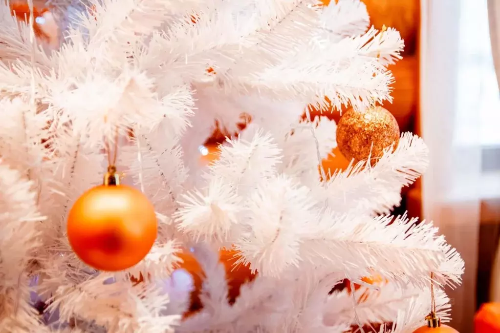 Дом в Тюменская область, Тюменский район, Боровский пгт пер. Лесной, ... - Фото 2