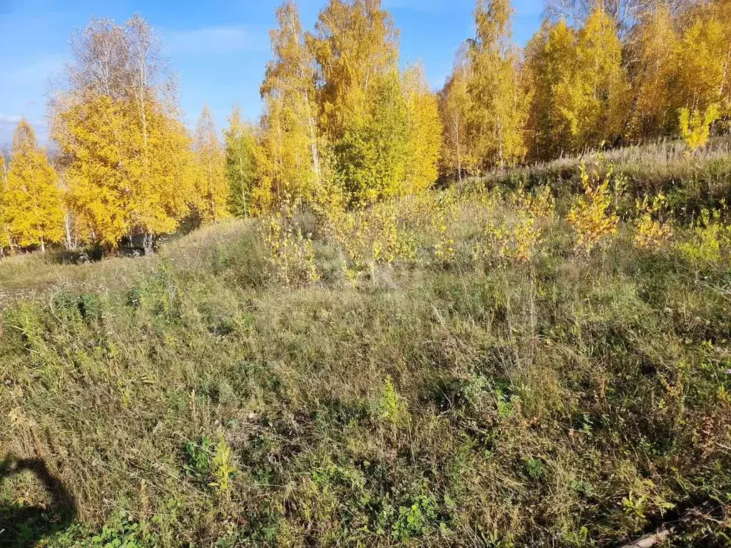 Участок 9 сот. (ИЖС) - Фото 1