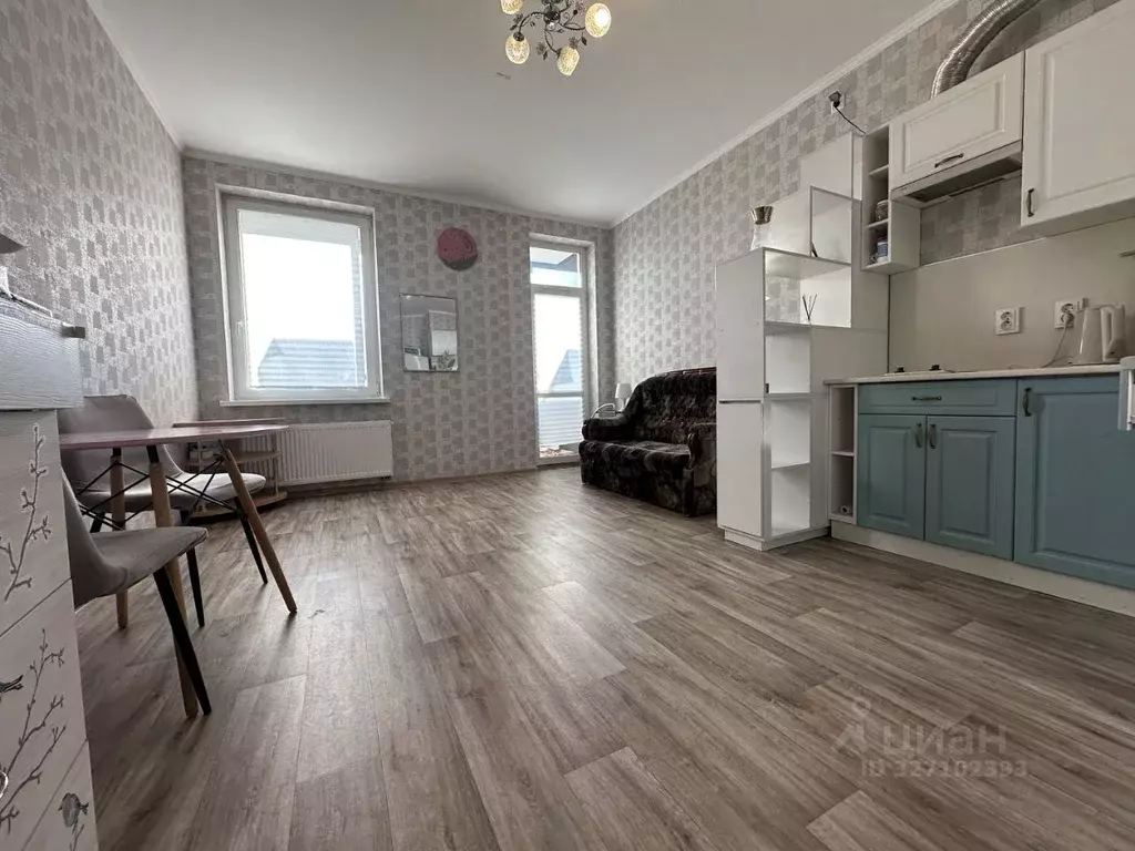 Студия Санкт-Петербург пос. Шушары, Школьная ул., 17 (27.0 м) - Фото 2