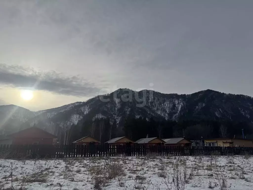 Участок в Алтай, Майминский район, с. Усть-Муны пер. Цветочный, 5 ... - Фото 2