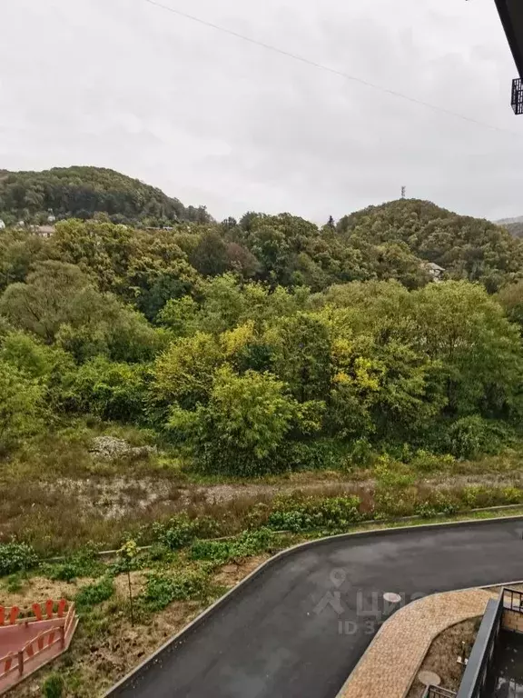 Студия Краснодарский край, Туапсинский муниципальный округ, с. Агой ... - Фото 2