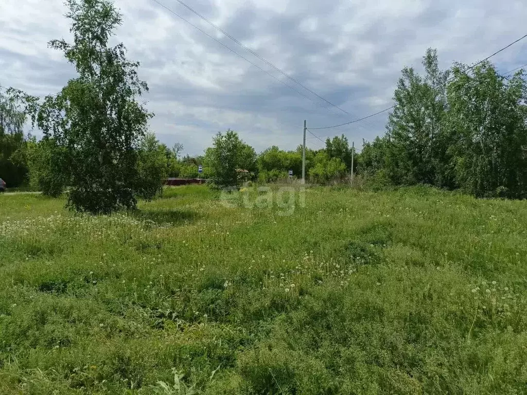 Участок в Тульская область, Новомосковск ул. Шахтерская (12.0 сот.) - Фото 1