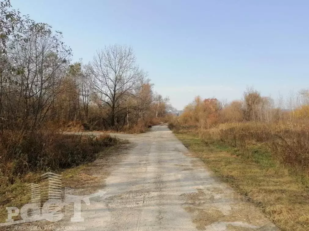 Участок в Приморский край, Артем Ольха садовое товарищество,  (10.0 ... - Фото 1