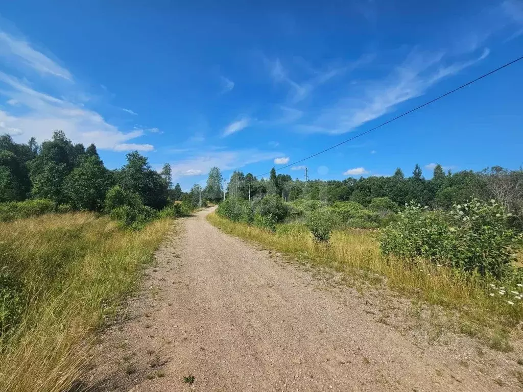 Участок в Псковская область, Струги Красные рп  (15.0 сот.) - Фото 1