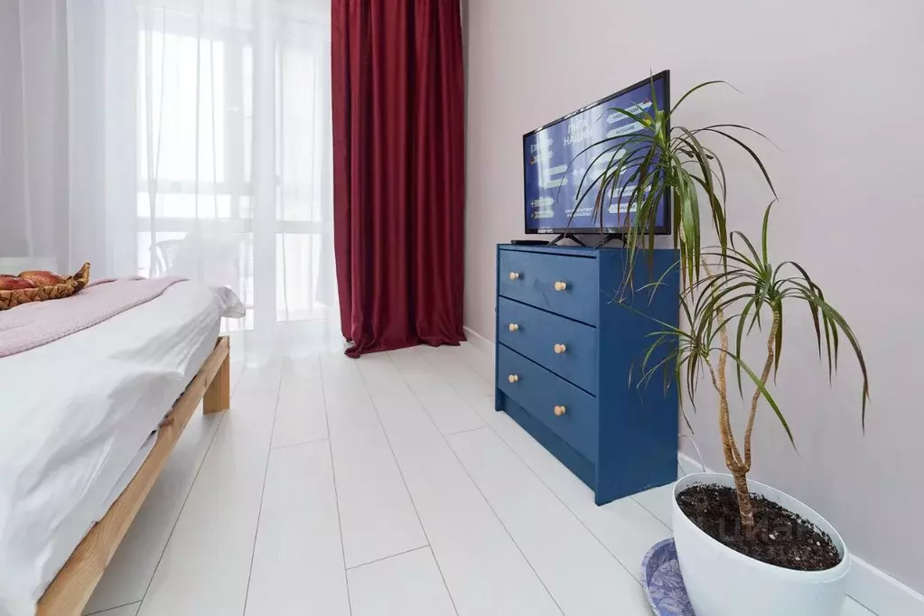 1-к кв. Псковская область, Псковский район, Писковичская волость, д. ... - Фото 2