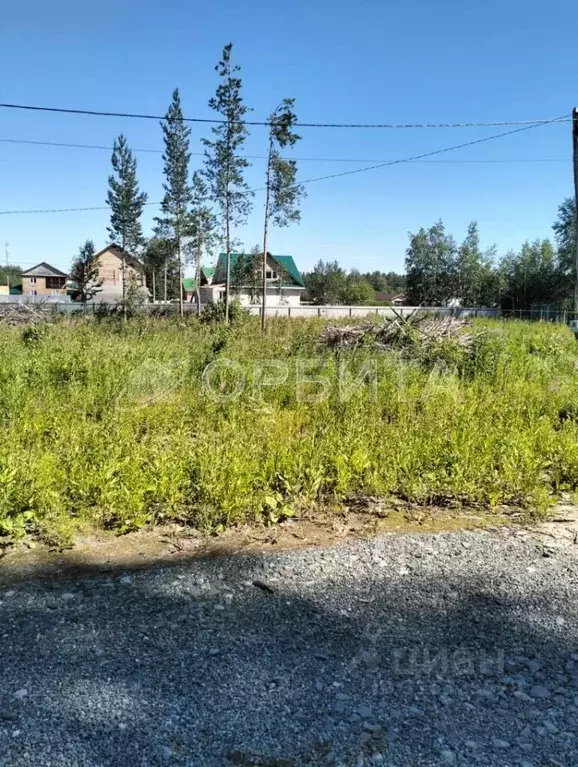 Участок в Тюменская область, Тюмень Большое Царево-1 ТСН,  (5.0 сот.) - Фото 2