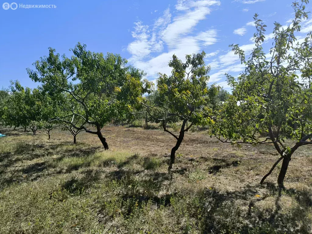 Участок в Трудовское сельское поселение, село Ивановка (10 м) - Фото 1