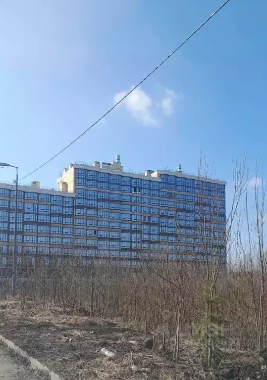 Студия Ленинградская область, Всеволожск ш. Дорога Жизни, 7к3 (20.26 ... - Фото 2