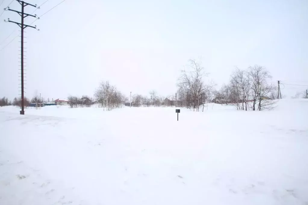 Участок в Ямало-Ненецкий АО, Новый Уренгой Лира ДНТ,  (6.13 сот.) - Фото 1