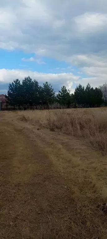 Участок в Московская область, Луховицы муниципальный округ, пос. ... - Фото 1