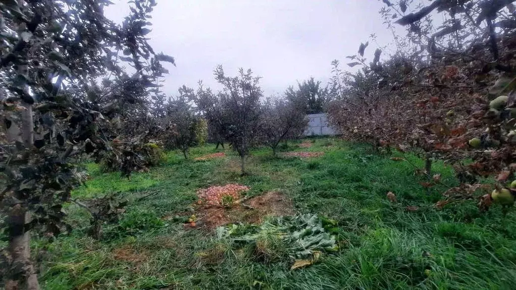 Участок в Кабардино-Балкария, Баксан ул. Защитников, 236 (10.0 сот.) - Фото 2