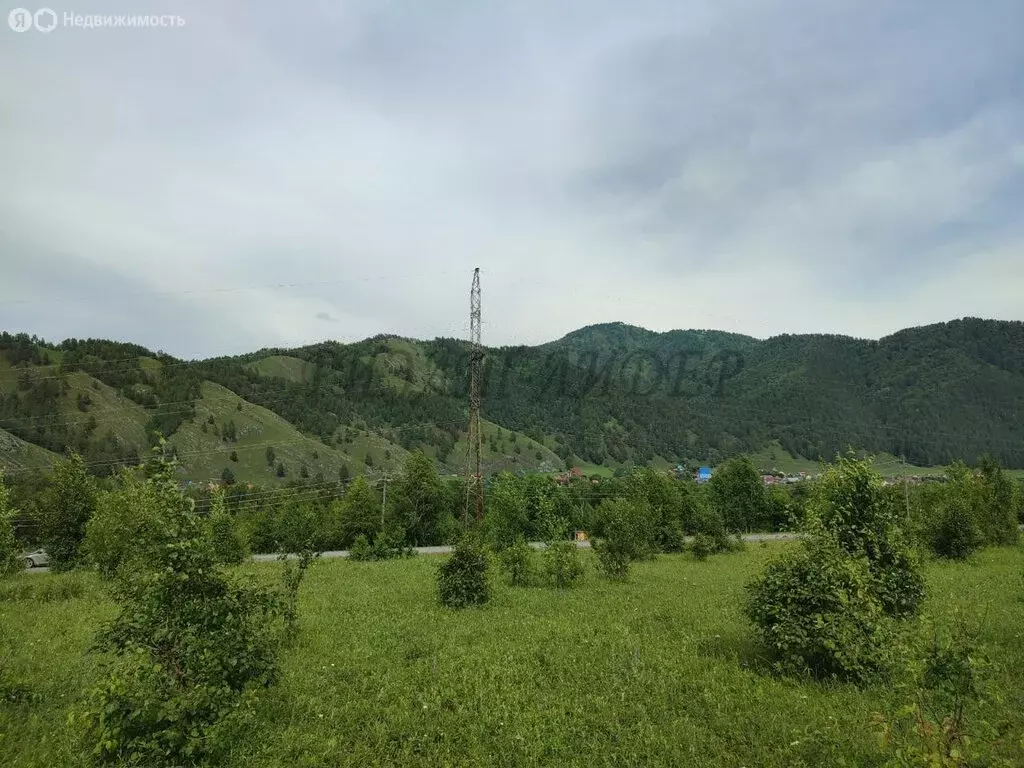 Участок в Чемальский район, село Анос (1.9 м) - Фото 0