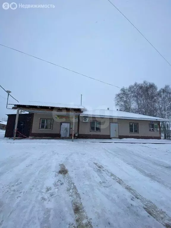 Торговая площадь (156.8 м) - Фото 1
