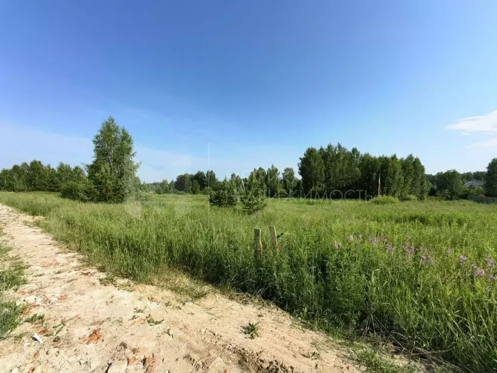 Участок в Тюменская область, Нижнетавдинский район, Геолог-2 СНТ  (4.0 ... - Фото 0